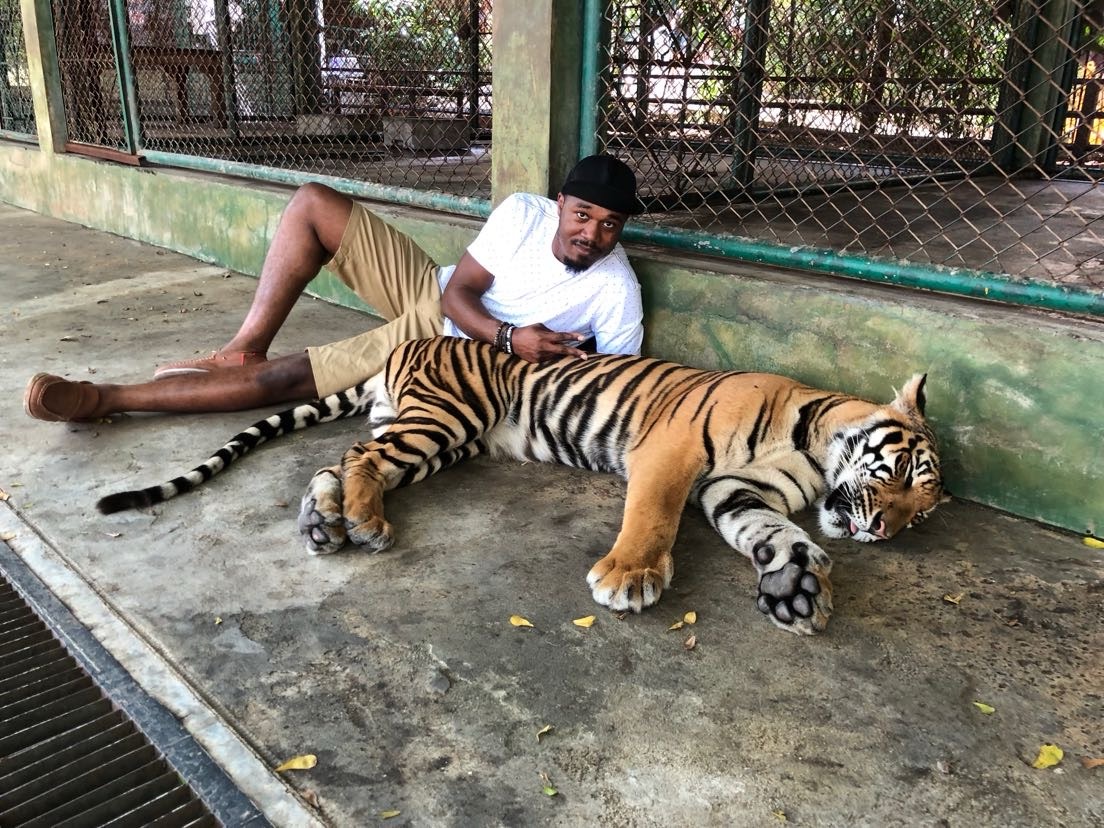 Tiger and I